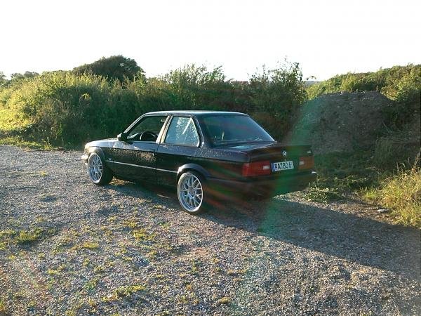 Meine "Perle" im Sommer 2011