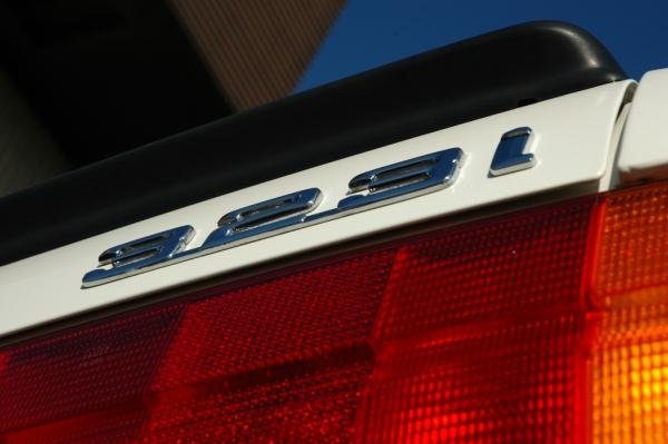 Letzte Fotosession im Oktober 2011