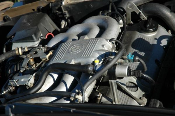 Fotosession Oktober 2012