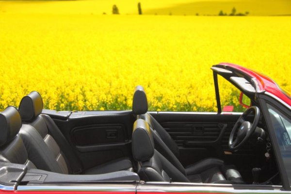 E30 320i vor Rapsfeld