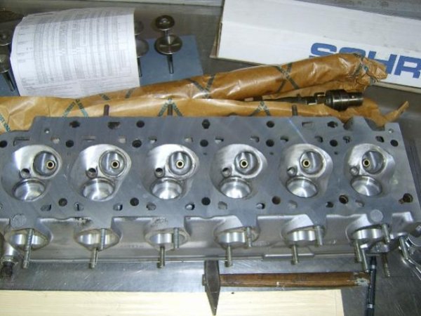 user13852 pic10074 1354302157