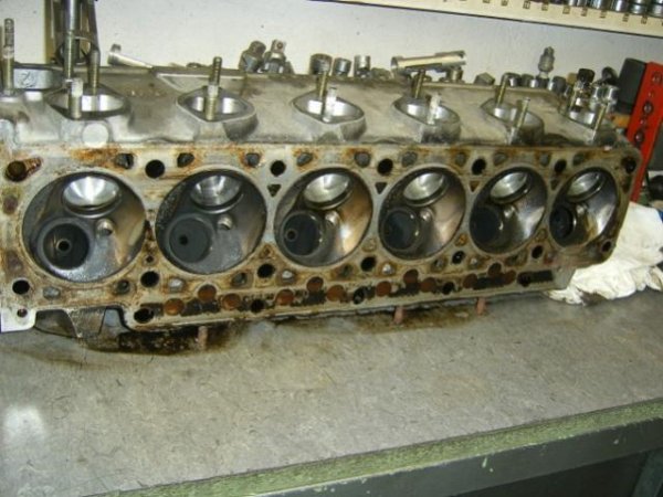 user13852 pic9915 1351011838