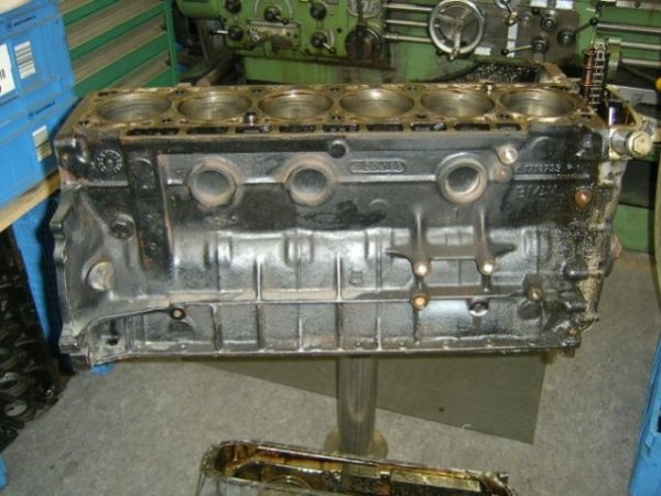 user13852 pic9913 1351011772 1