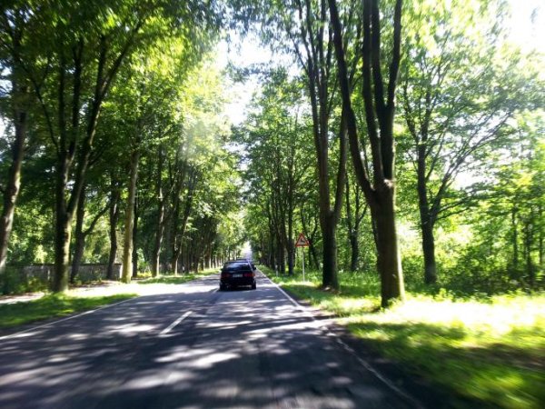 Treffen im August 2013