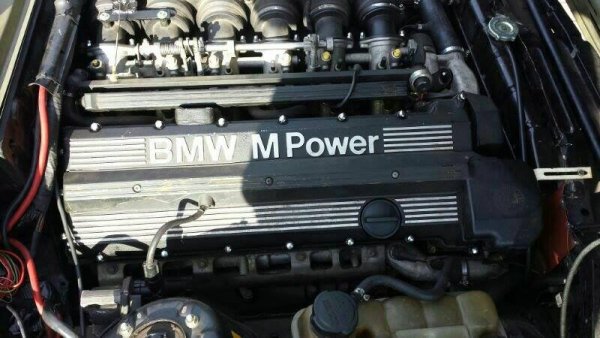 1526882 636405669751629 682956558 n