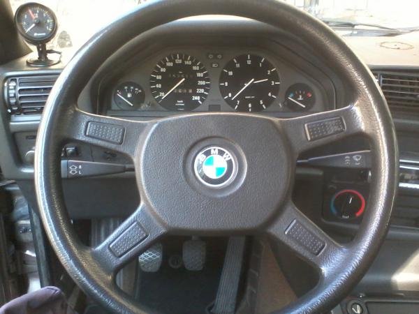 10683531 943947152299593 1725864846338118503 o