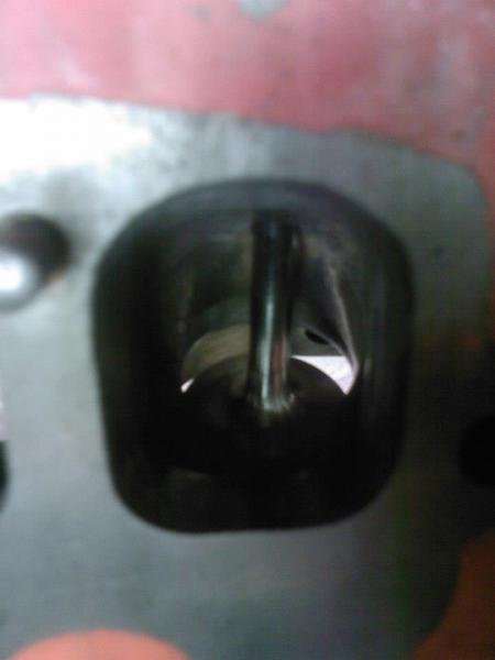 551993 3363474900430 495961984 n