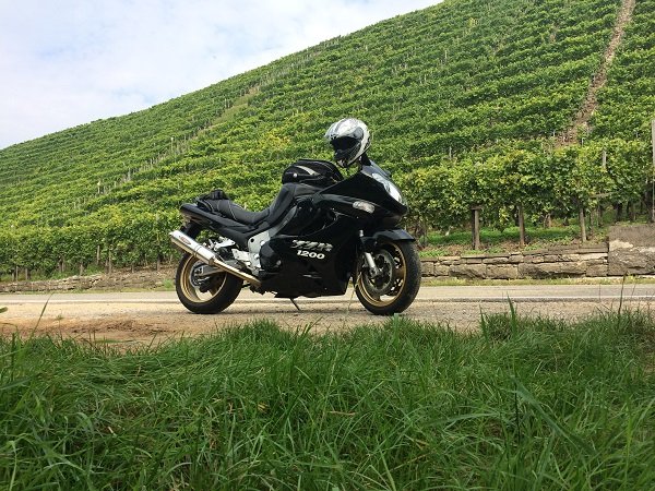 Foto 06.09.14 12 43 48