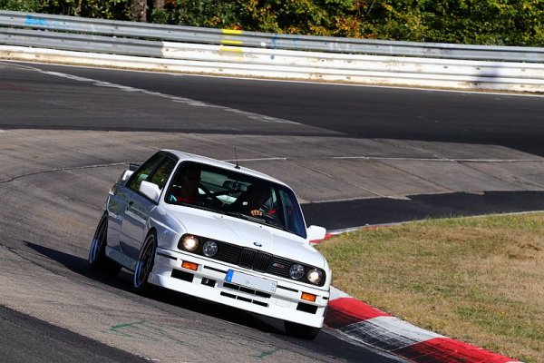 racetracker 5294640 79342