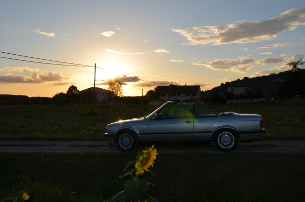 Cabrio Toskana Sonneblumenfeld