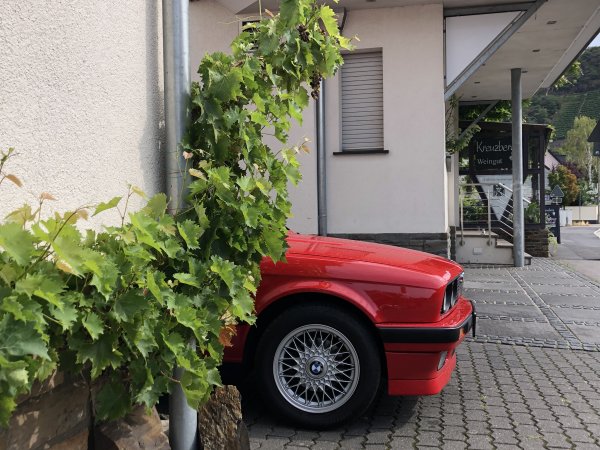 Verführung durch Bachus den Weingott :-)