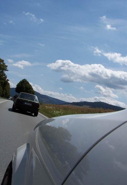 mit Floh (Wuddelcrew) durch den Harz