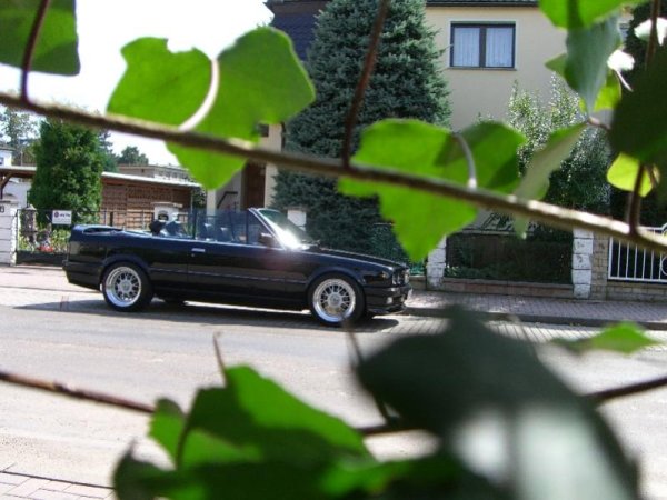 CIMG3278 800x600 500KB