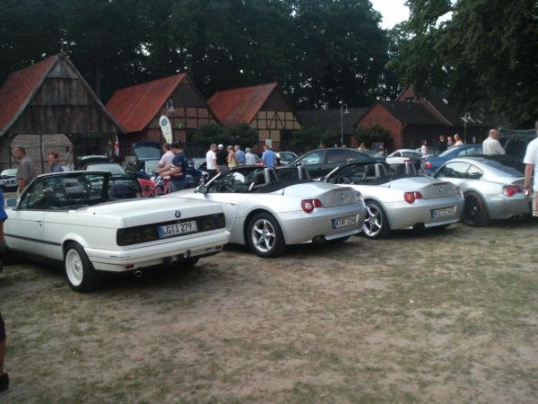 allein unter zettis II