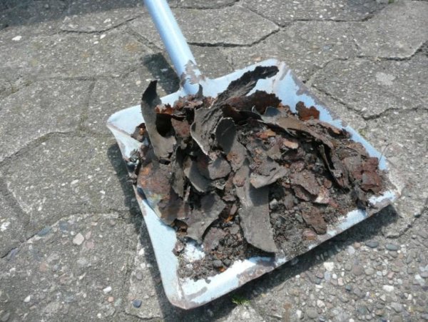 22   05.07.2009   Rost, Rost, Rost...