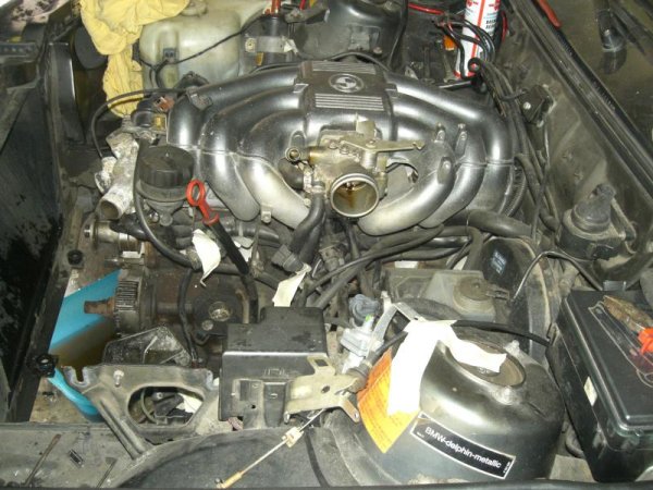 Angefangen nebenbei den 320I zuzerlegen. Einiges wird gleich an den neue Motor übernommen.<br>Alles ist soweit ab und mackiert so das der Kopf nun runter kann am Wochende. Einige Schläuche und Stecker haben bis zum Ende gekämpft ;)<br>Motorkran organ