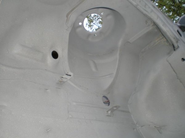 Graß Anfang Mai 2009 010