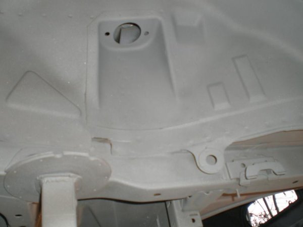 Graß Anfang Mai 2009 011