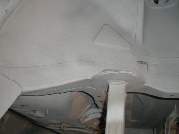 Graß Anfang Mai 2009 012