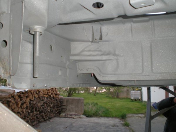 Graß Anfang Mai 2009 014