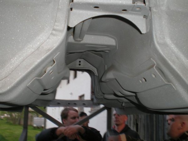 Graß Anfang Mai 2009 016