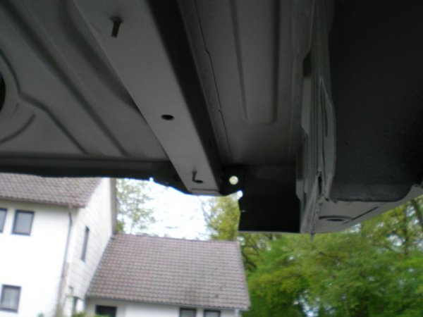 Graß Anfang Mai 2009 100