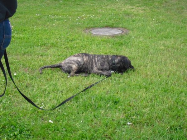 und natürlich auch für die "Kleinen"!