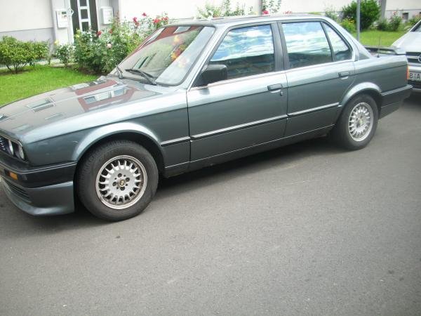 in ganzer schönheit