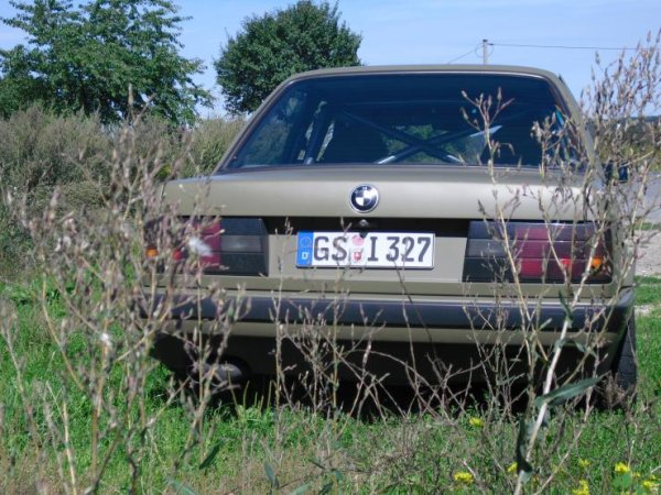 grasgrün zum matten