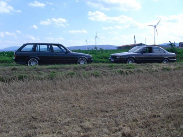 Ein Bett im Kornfeld