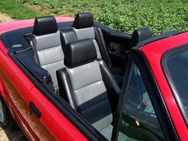 Lederausstattung Bicolor