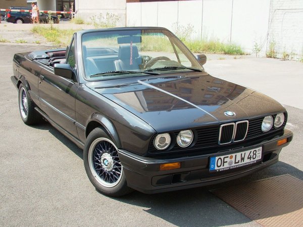 Frisch gewaschen und poliert (1)