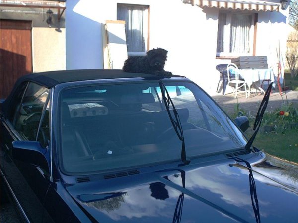 Mein Hilfsarbeiter ;-)