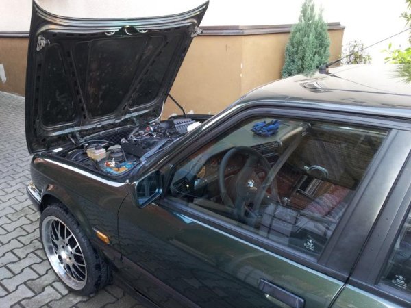 Tag 49 des Umbau 14.10.2011  (1)