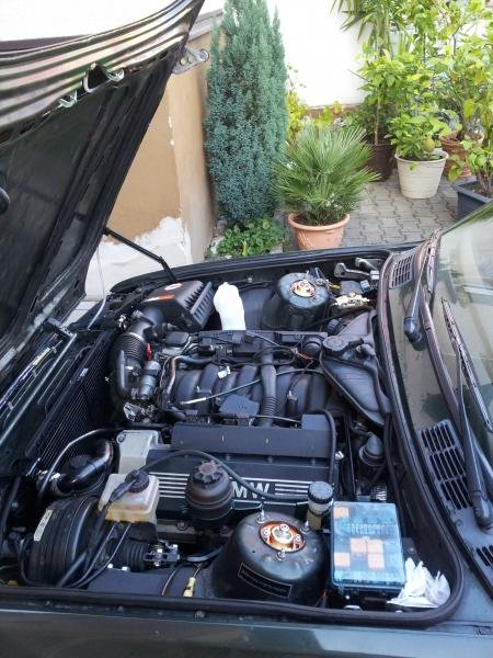 Tag 49 des Umbau 14.10.2011  (2)