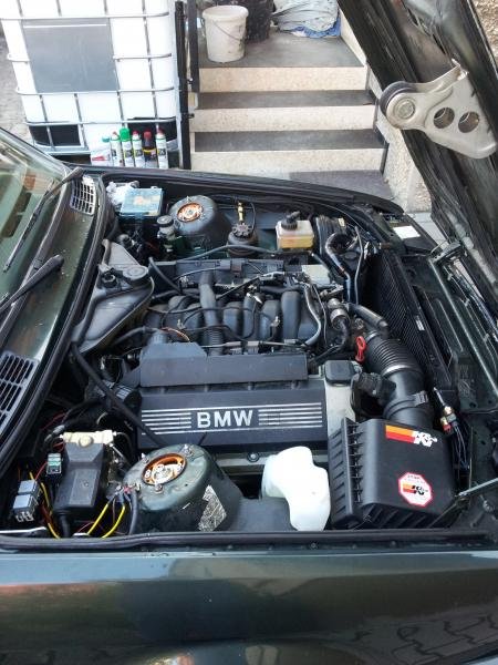 Tag 49 des Umbau 14.10.2011  (3)