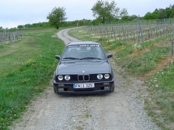 Stephan325i