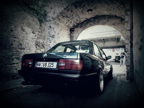 903929 519986478047847 2048718503 o