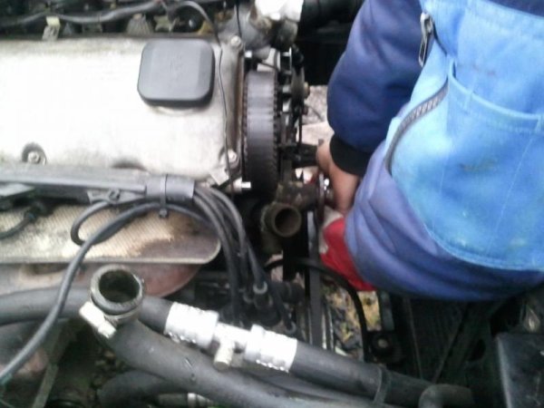 Zahnriemen + Wasserpumpe.