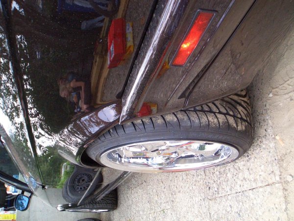 fotoshouting an der elbe