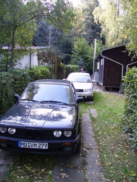 BMW und Audi einfach Geil