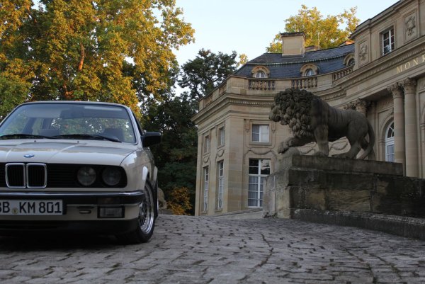 Retroracer Gazellenbeige