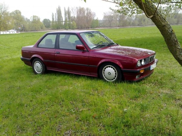 mainwiesen im Frühjahr auf WR und keilform -.- bäh