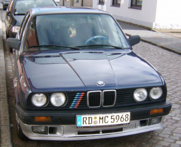 mein momentan bockiges schätzchen