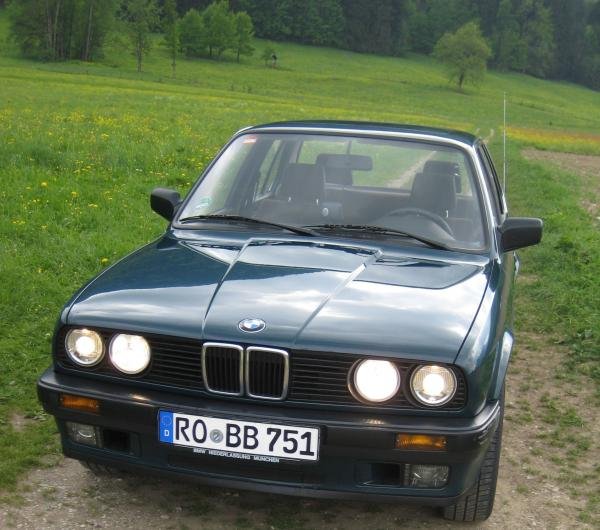 318i LIM 2