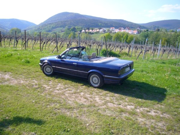 Aktueller Stand Sommer `08