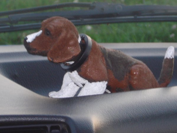 Neue_Cabrio_15_8_2011_053