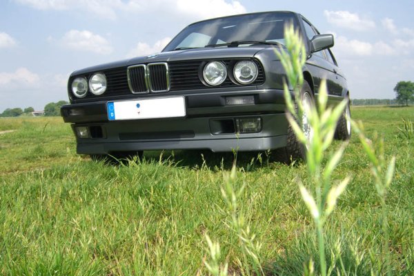 Front hinter Grashalm