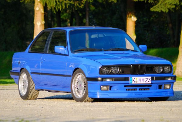 Mein Biest mit S38B36