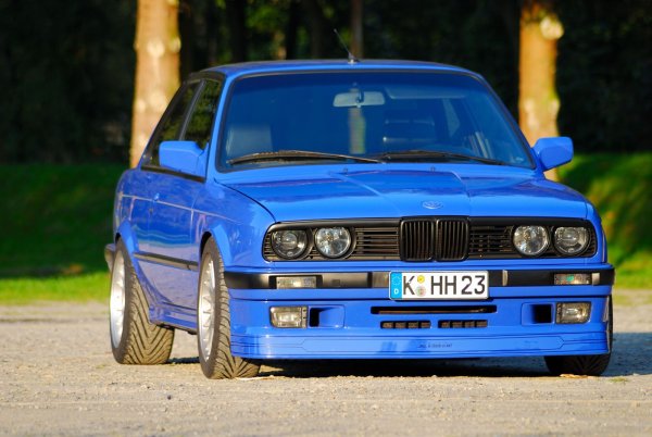 Mein Biest mit S38B36